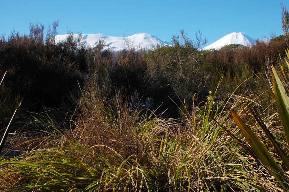 99 - Nueva Zelanda, parque nacional de Tongariro